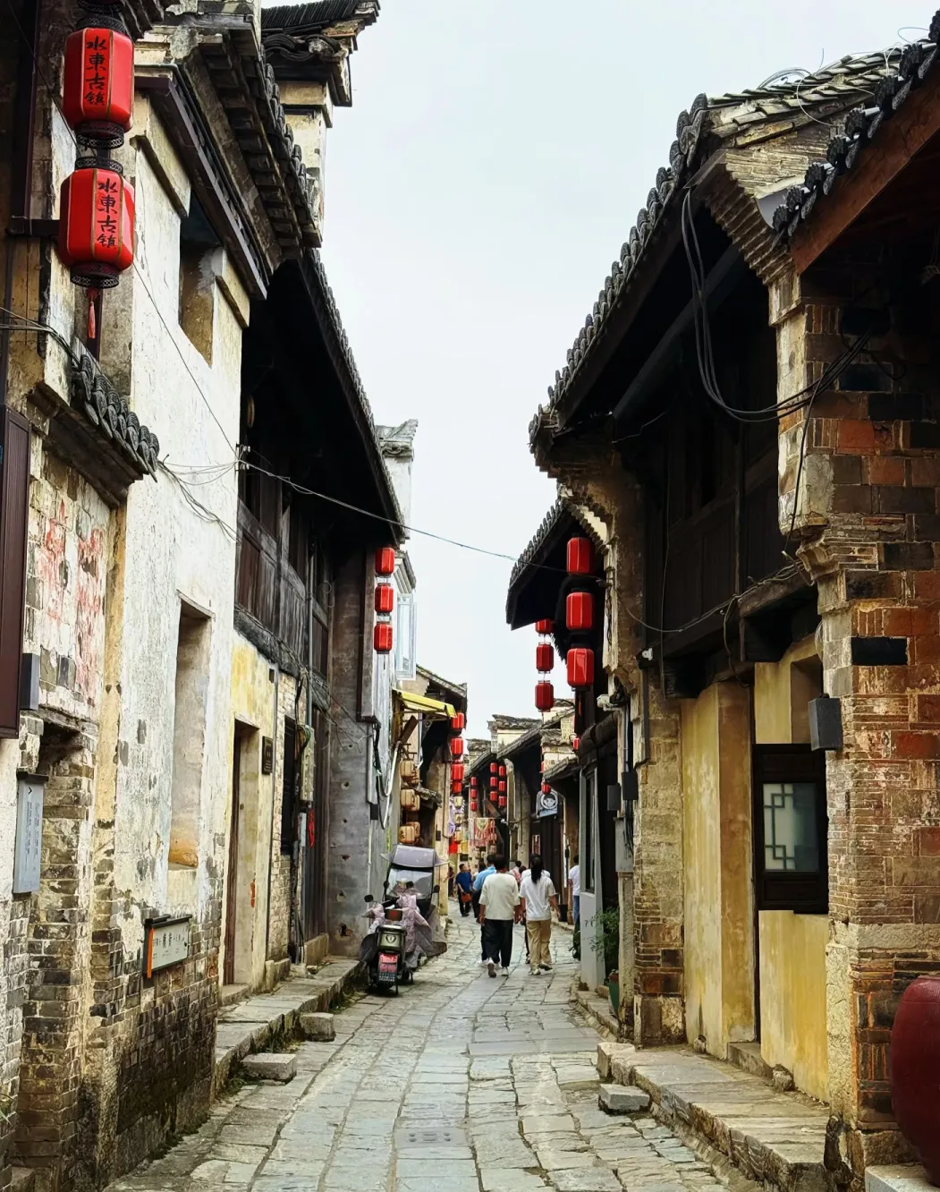 2413142a20d15425fe7dc2939c2127f6-sz_1748156