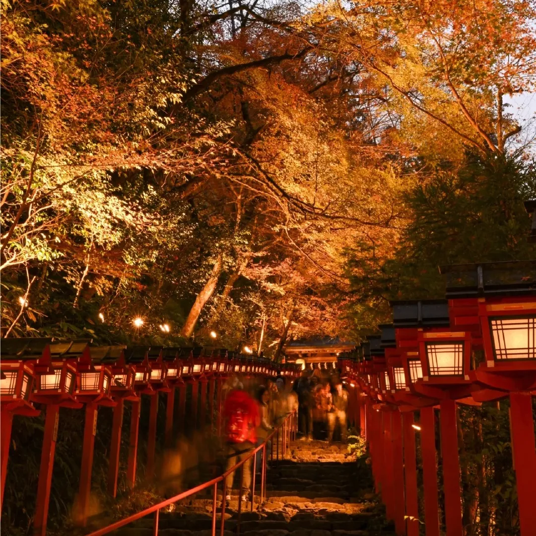 241cdfacdca69e172cc9a25cf9a40a83-sz_667564 241cdfacdca69e172cc9a25cf9a40a83-sz_667564