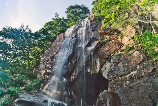 243804740eabea07a5b01e211fd35169-sz_828987-1 243804740eabea07a5b01e211fd35169-sz_828987-1