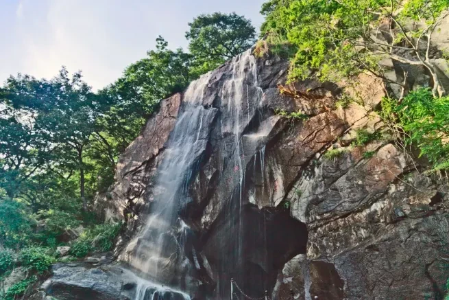 243804740eabea07a5b01e211fd35169-sz_828987