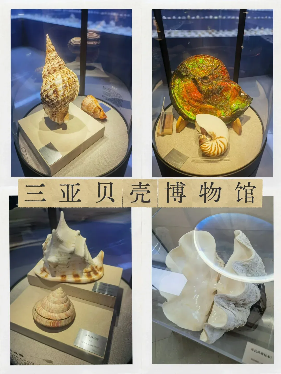 2449b4335661bb1292ed29dea52b9116-sz_2352052 2449b4335661bb1292ed29dea52b9116-sz_2352052