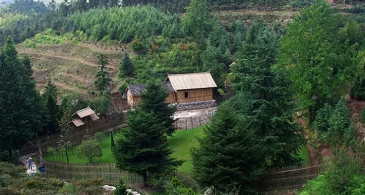 248dc89ed97ade7ee20009ce55279021-sz_119320 248dc89ed97ade7ee20009ce55279021-sz_119320