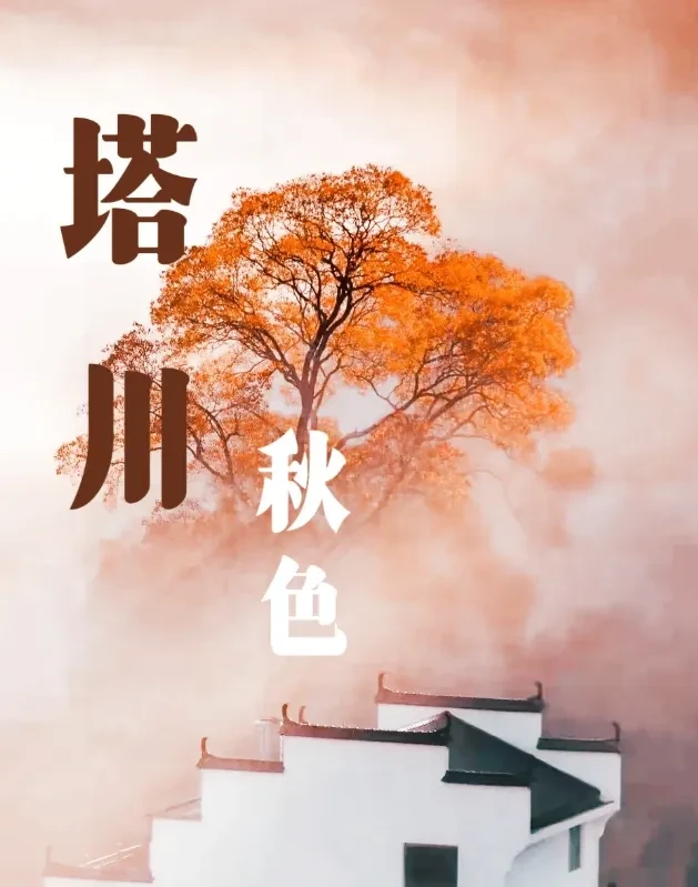 249a5aa669fa70d214949f207dd77384-sz_565607 249a5aa669fa70d214949f207dd77384-sz_565607