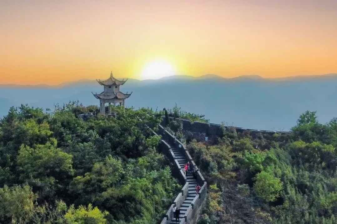 24ac363d364aef6f454ddd2191fba8c5-sz_2664889-1