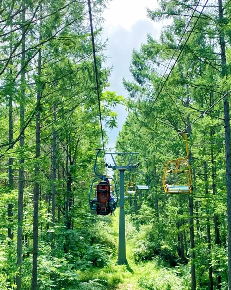 24c40f86a10c01f32d852275ee96384d-sz_2152955 24c40f86a10c01f32d852275ee96384d-sz_2152955