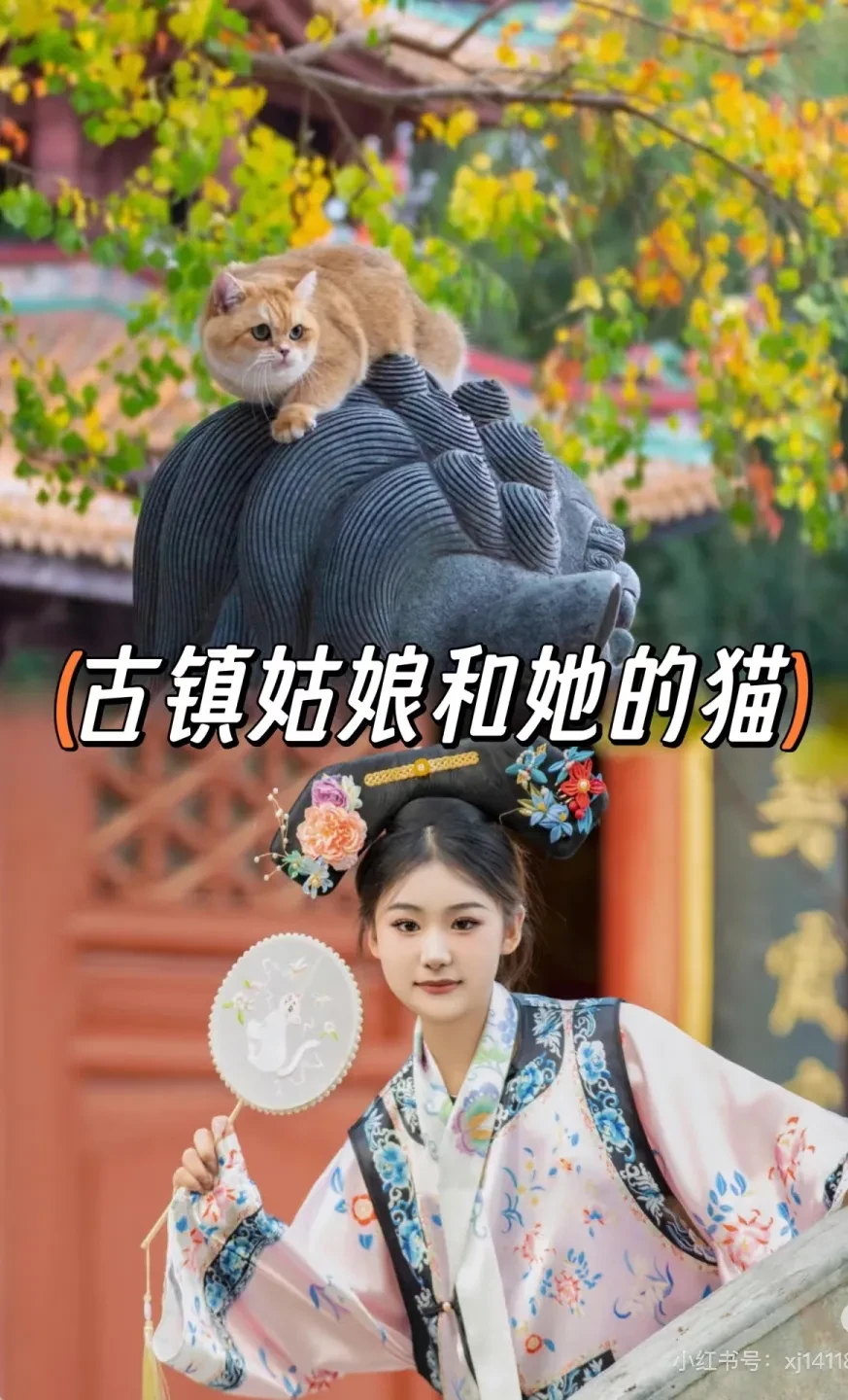 24d492e20bb0174dac9cfd45648bcc05-sz_505448 24d492e20bb0174dac9cfd45648bcc05-sz_505448