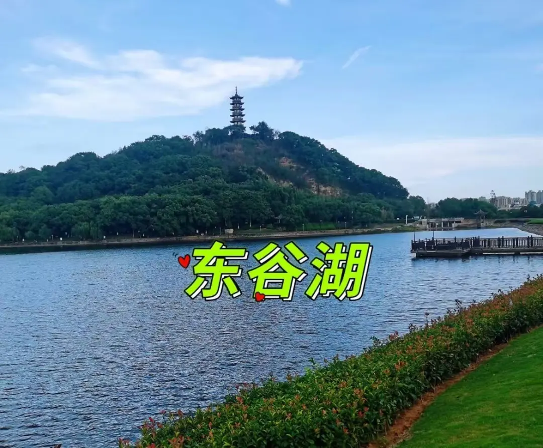 24f376b3da93aac8f2c392b04ff6143c-sz_199509 24f376b3da93aac8f2c392b04ff6143c-sz_199509