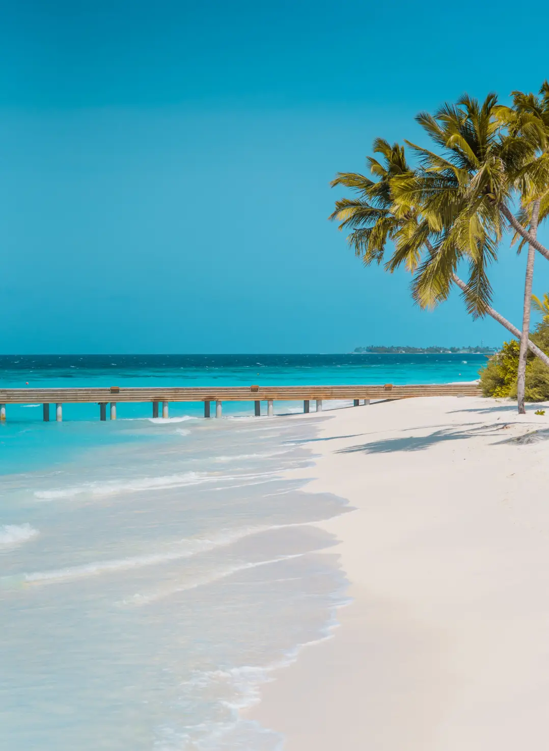 251f8c834d46d5588402ce8887908b81-sz_2046141