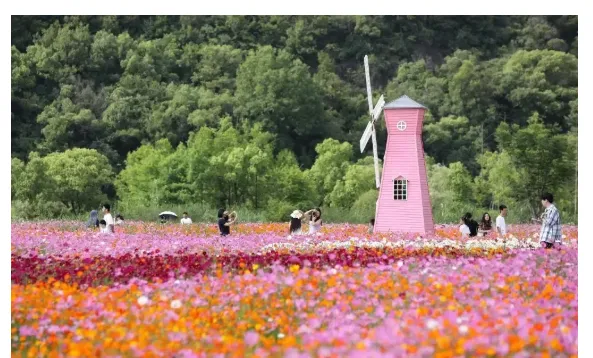 254088662f7ca7bcf343b94d688bfc85-sz_442006 254088662f7ca7bcf343b94d688bfc85-sz_442006