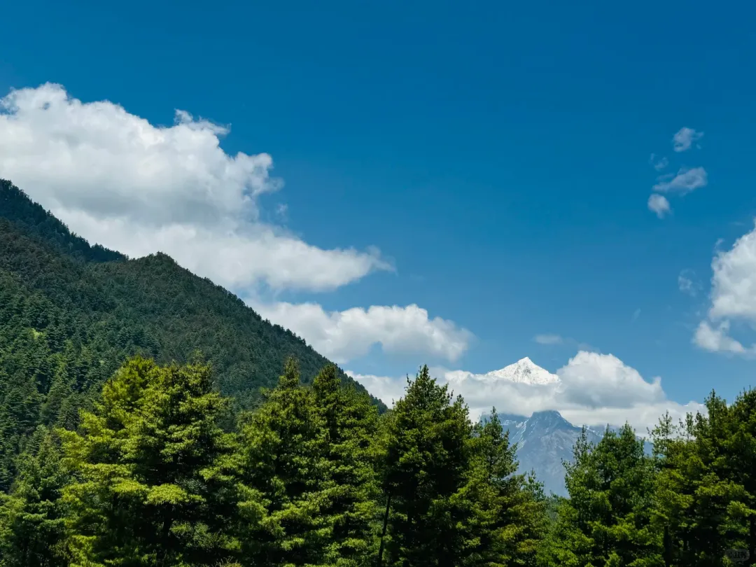 254b13eafe4624fe851faae353aa965a-sz_1950872