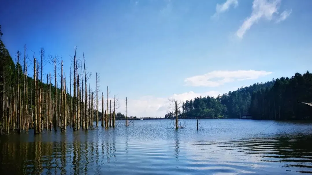 256e9967d5ab81b75b23117c4ecb862c-sz_91089 256e9967d5ab81b75b23117c4ecb862c-sz_91089