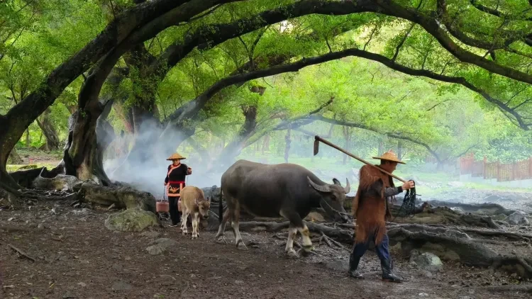 25a9422991e0b2b260b6effaea012121-sz_4951633 25a9422991e0b2b260b6effaea012121-sz_4951633