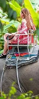 25dab00aeaaf5c16dc229107441be97b-sz_141171 25dab00aeaaf5c16dc229107441be97b-sz_141171