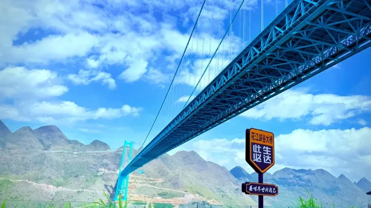 25db78bbcaa3f1d03756f7fb6a16503a-sz_3967320