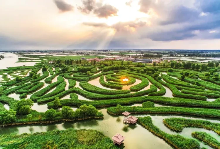 25ddf674c5af53fad1a0f04f356d9d26-sz_512807