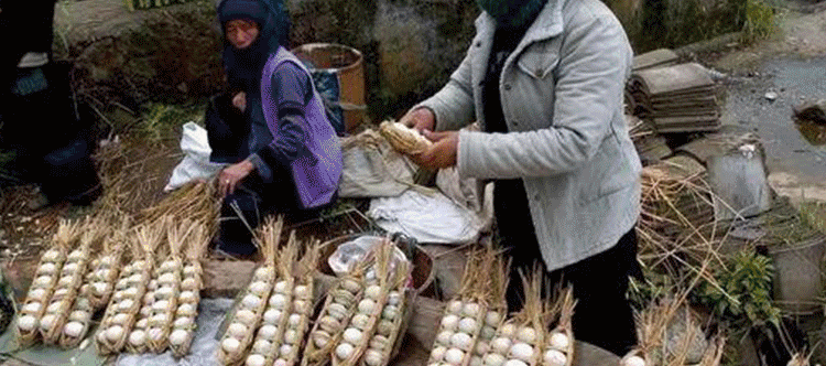 25e30d639fc836a423a14a52b5603652-sz_822081