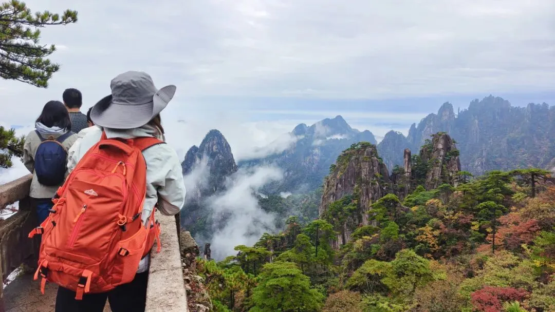 25edc66c1821a48a75f49d8dbccb0f44-sz_119519