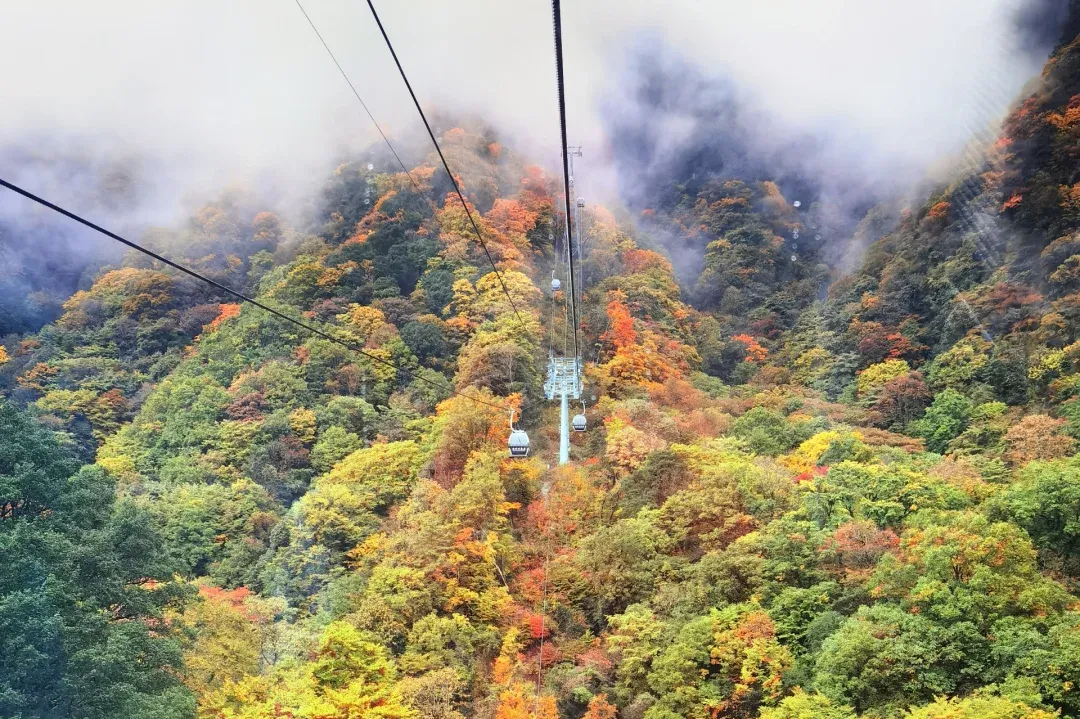 2603d3efa9c358389966c1caa2cb666f-sz_3745874