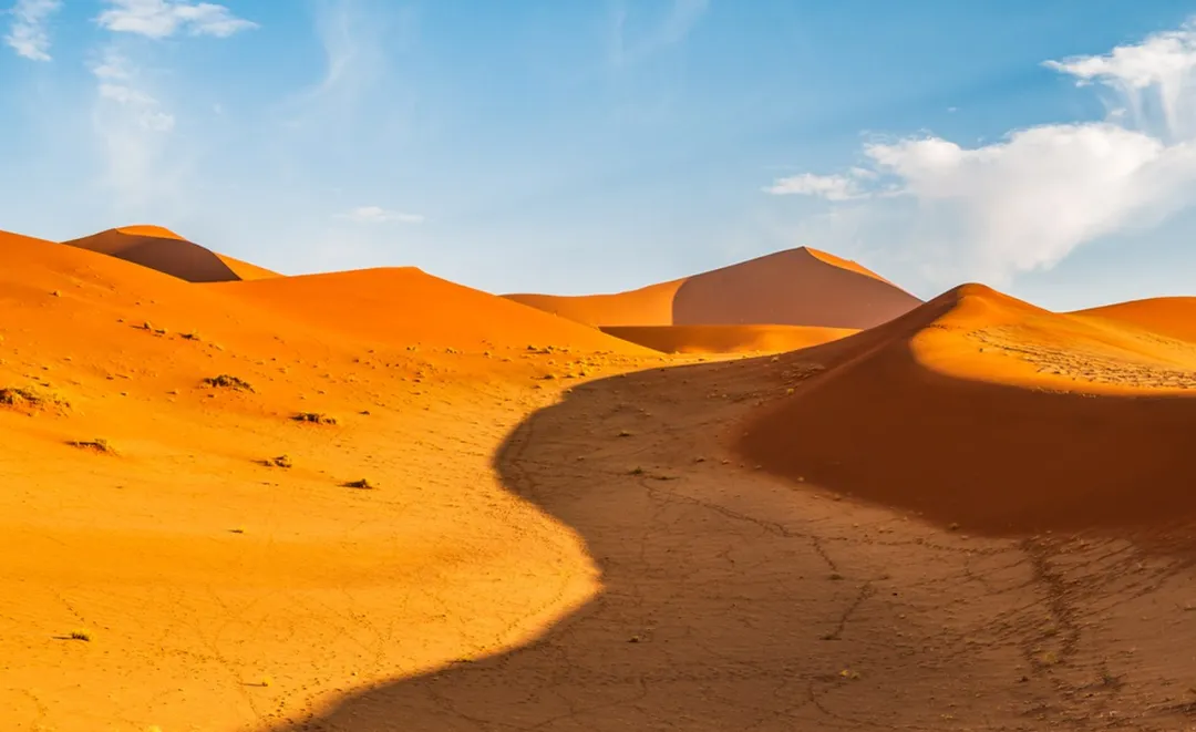 262a7761def9feb3ab67ef901b9b0128-sz_233128-4