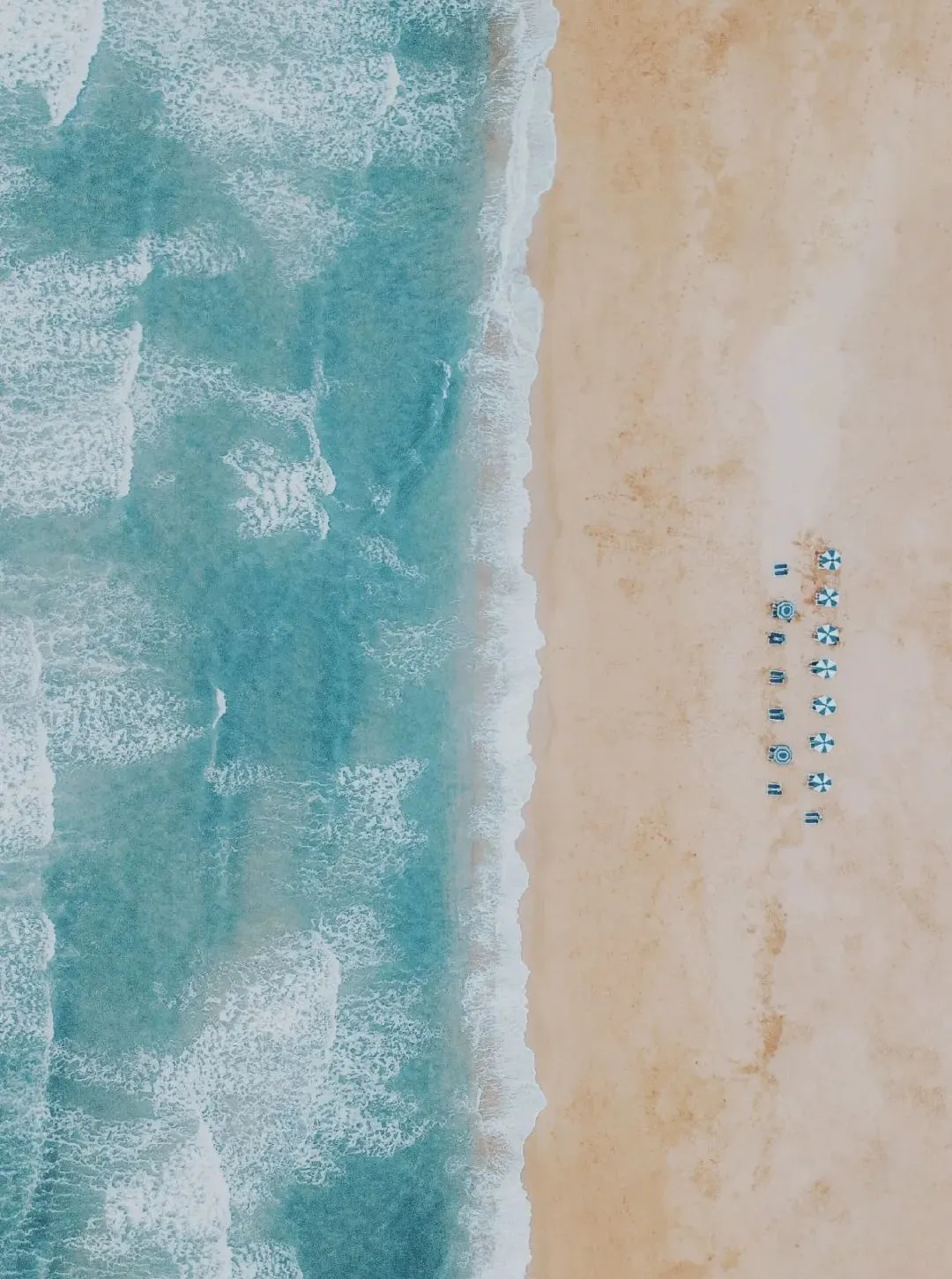 262ff33b110092c45d9e1565704dc6cb-sz_307774