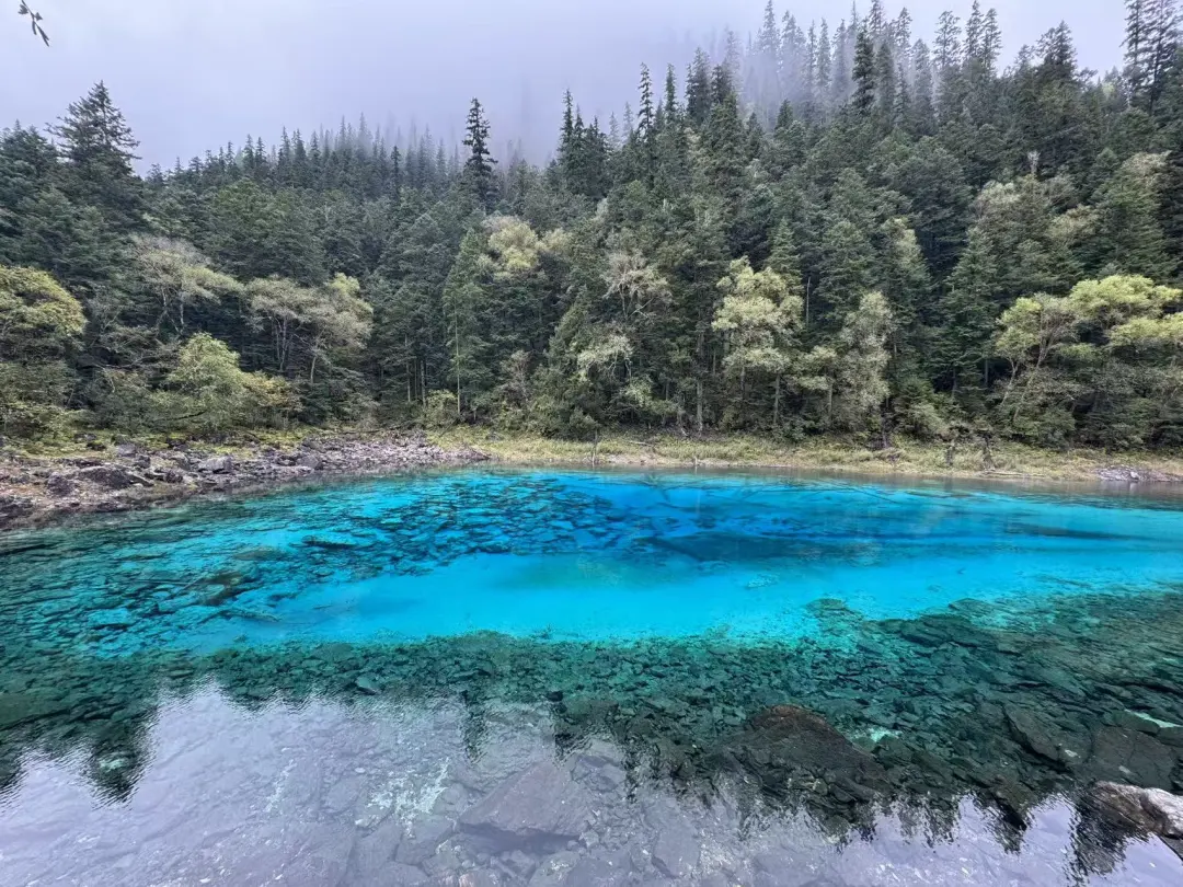2-8人VIP小散团❤【川渝密码】❤重庆武隆+九寨沟东进东出❤双卧8日