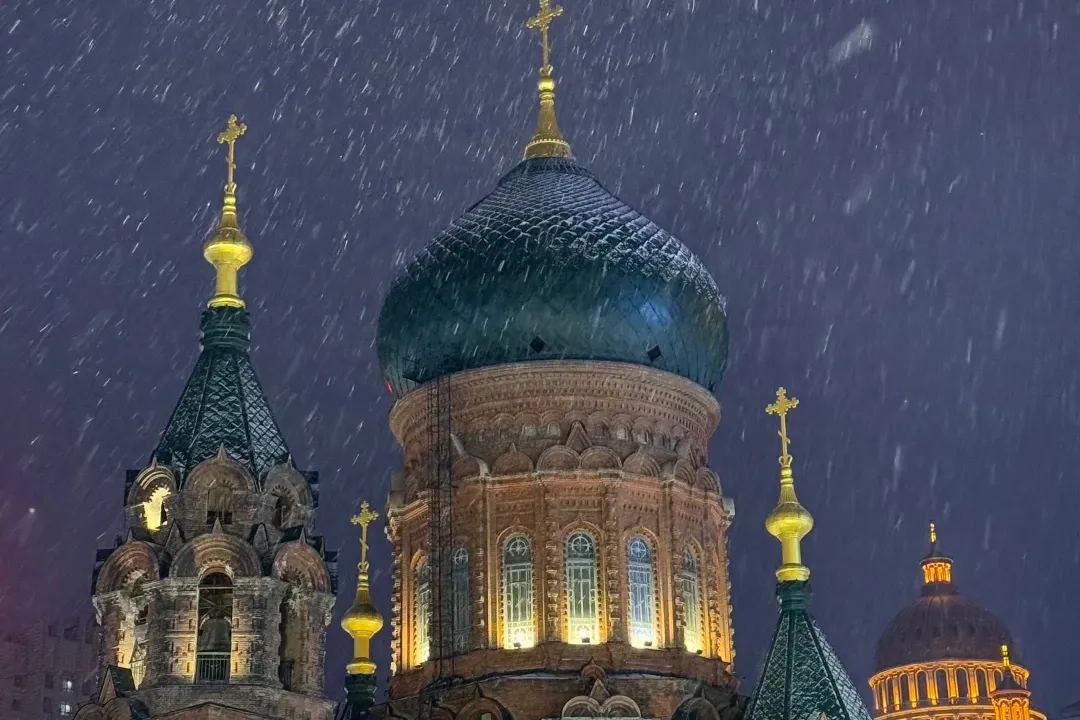 2666ef15e8b4d84c10cbca9e8625554d-sz_2282969-2 2666ef15e8b4d84c10cbca9e8625554d-sz_2282969-2