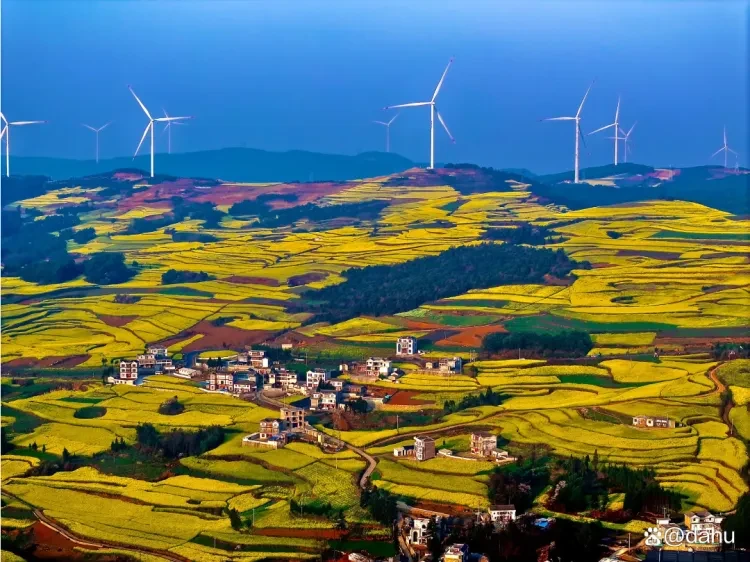 26ae49d617863ba996f55e7c5bf317f6-sz_1692900