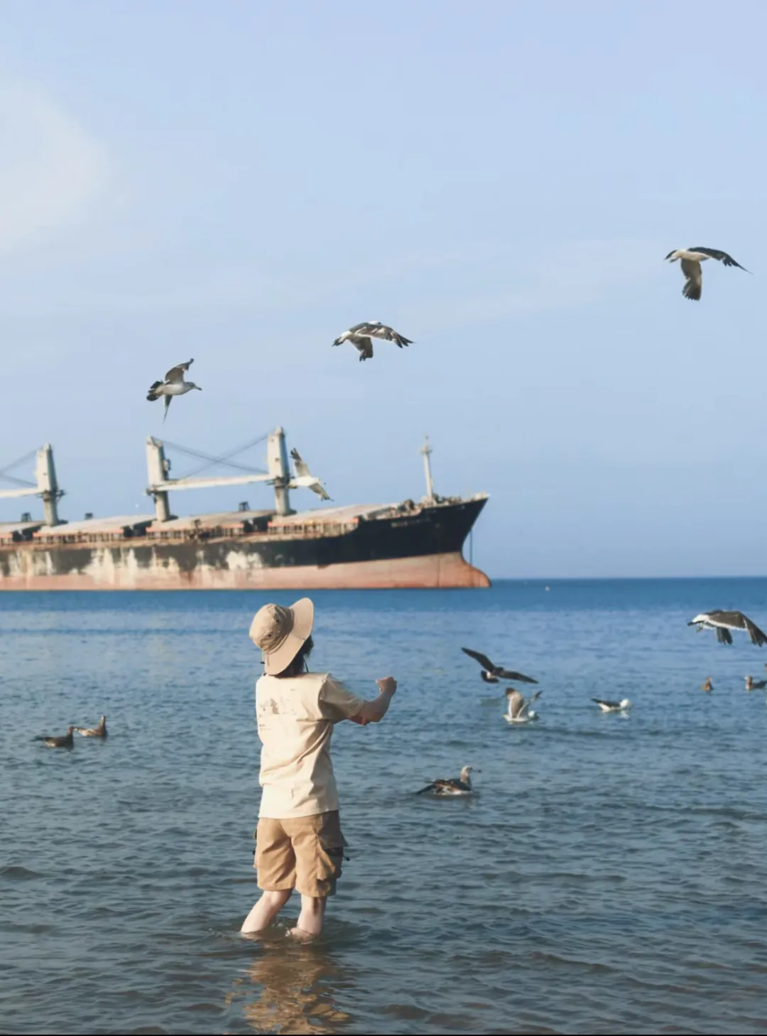 27450eb6e588e98b96397a147947db01-sz_2301371