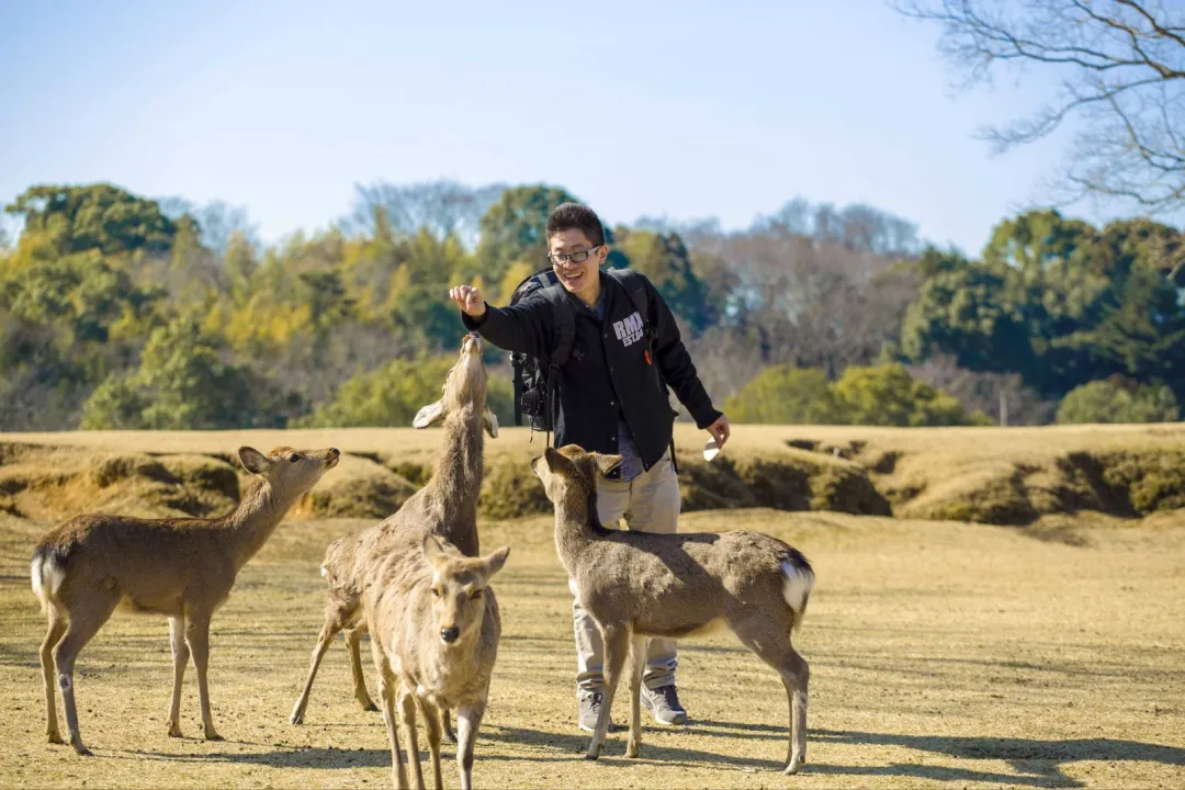 2745b0b0cd938aa5df66e76e88fad59c-sz_265775 2745b0b0cd938aa5df66e76e88fad59c-sz_265775