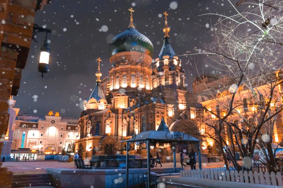 274cca0650af1262199b84499c6f99e2-sz_148154