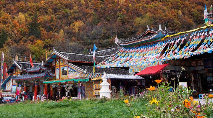 2758611a8a074972873aeb8e99e3783b_th