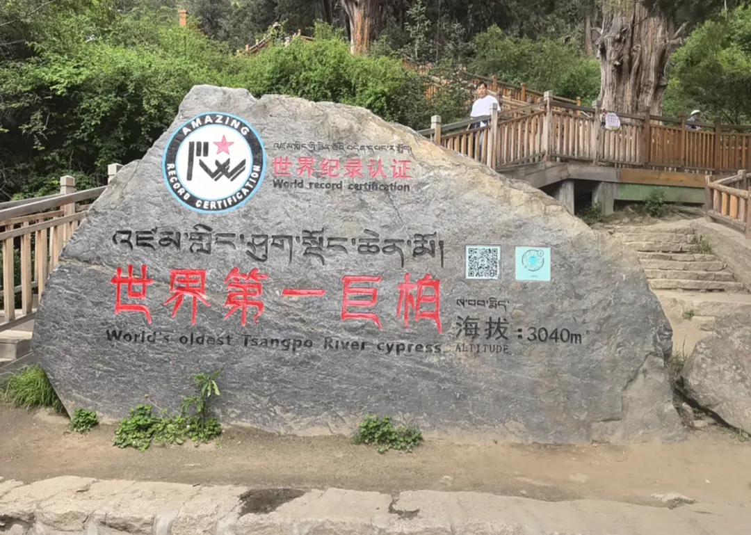 27b3ced56410d46dc15ed1f8dd72f8e0-sz_1402141 27b3ced56410d46dc15ed1f8dd72f8e0-sz_1402141