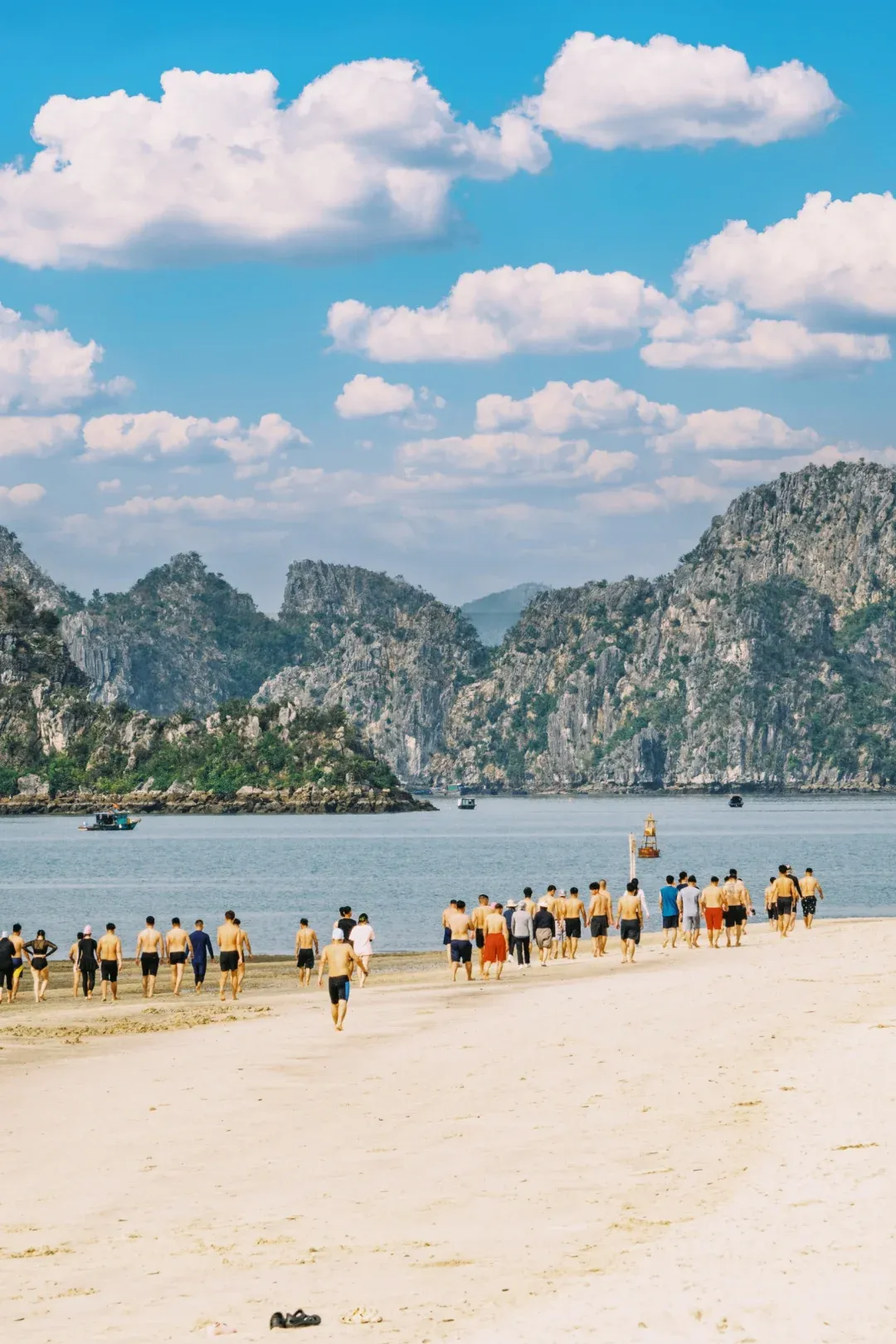 27de40b5fa7600ef7f6baa5a5d2763d9-sz_2431391