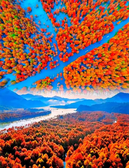 27f1017603fe0b67e832da79fa48e8c7-sz_107402-1