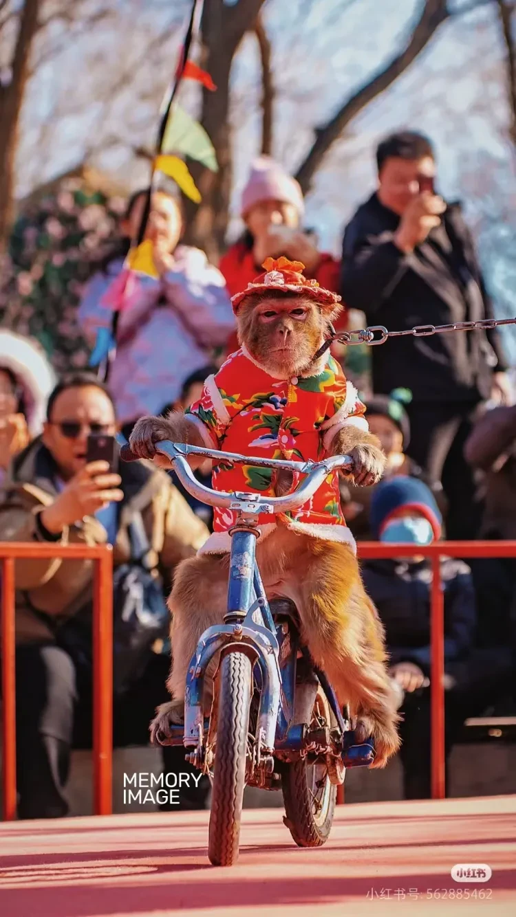 281b327e7b05e3c213c53008553ff5dd-sz_1161441