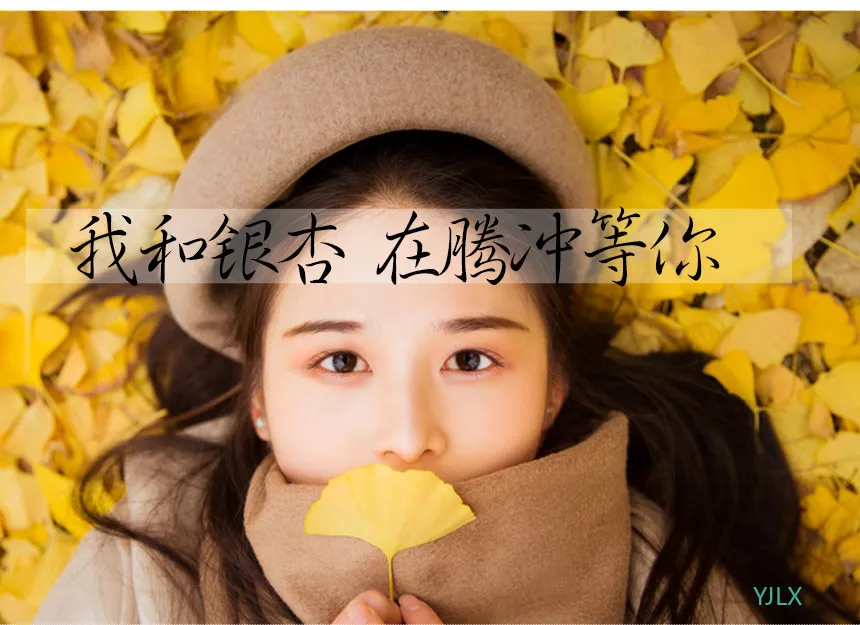 28852f478c7cfb5d495fd49469aa3f9a-sz_352109