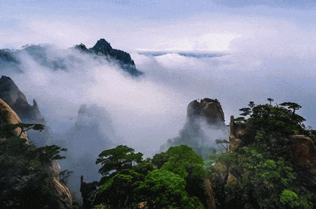 28c9a1e72164aa9498ac087b37fc15b3-sz_251297