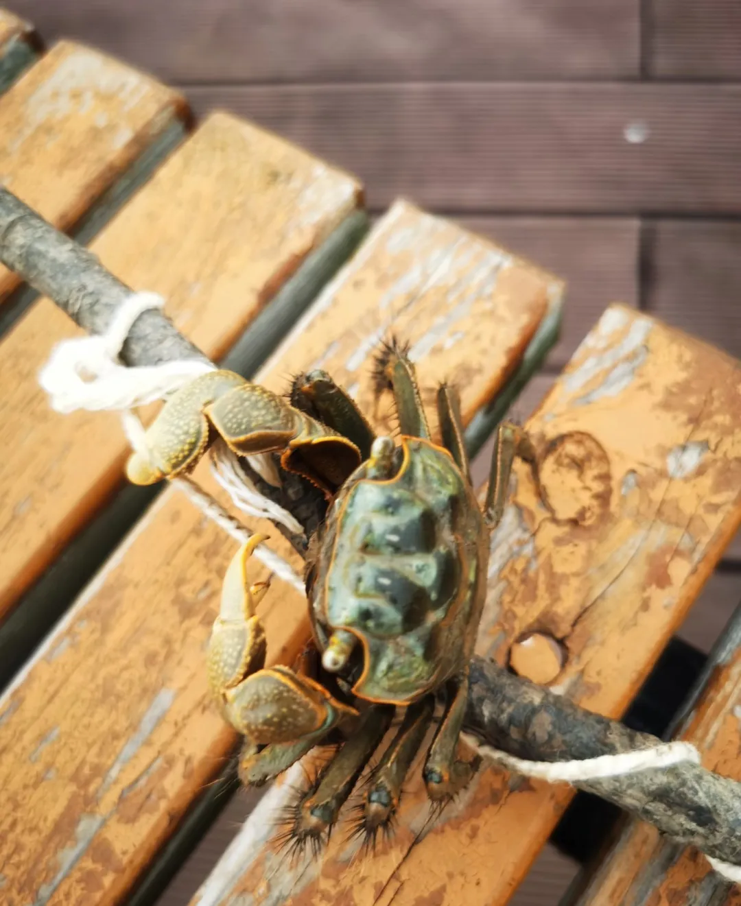 293b8351fa5b91cb6154b1e71e21722a-sz_1144672 293b8351fa5b91cb6154b1e71e21722a-sz_1144672