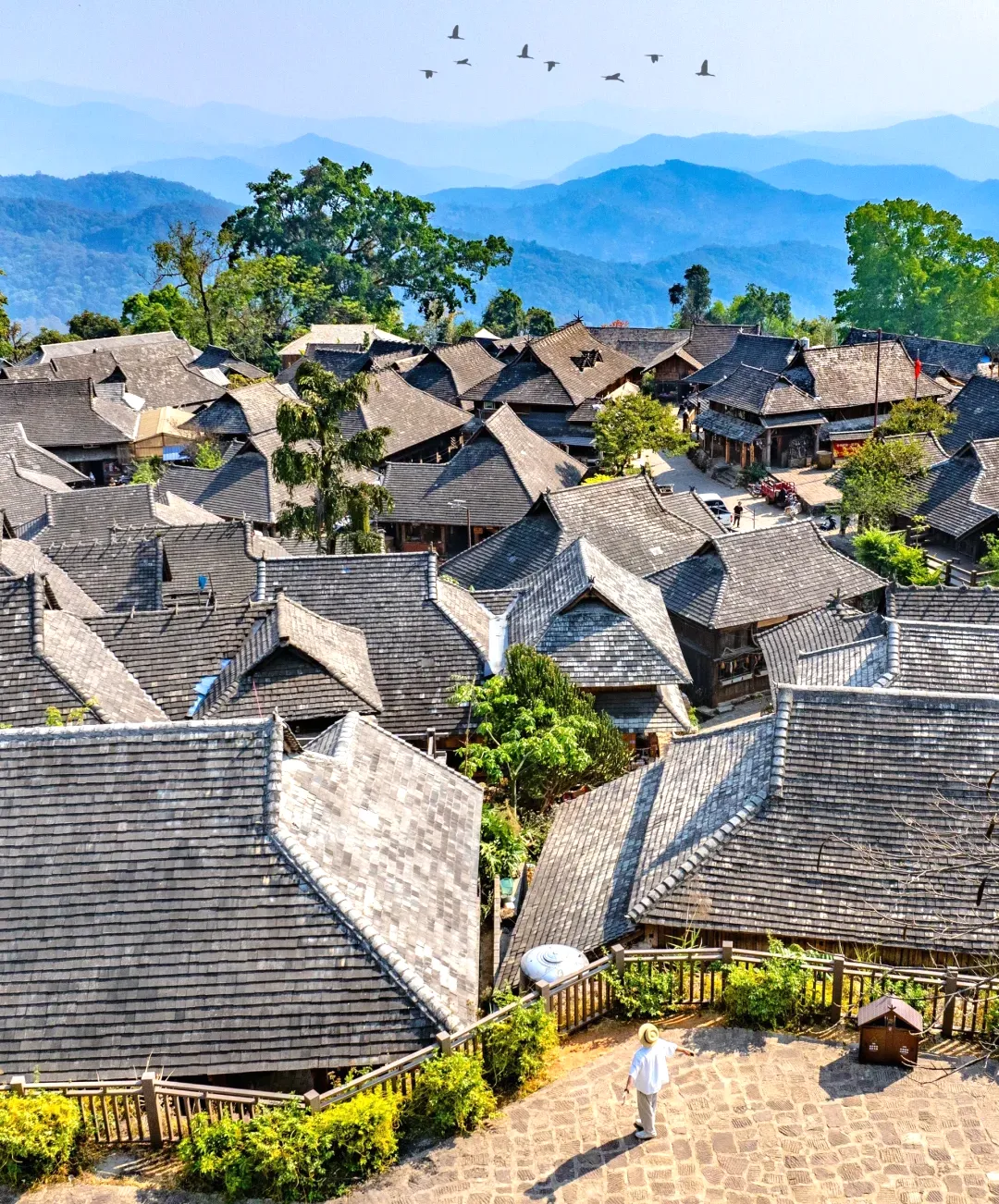 29735d7da792f3bef7fde3ad69dbc2b1-sz_3226455