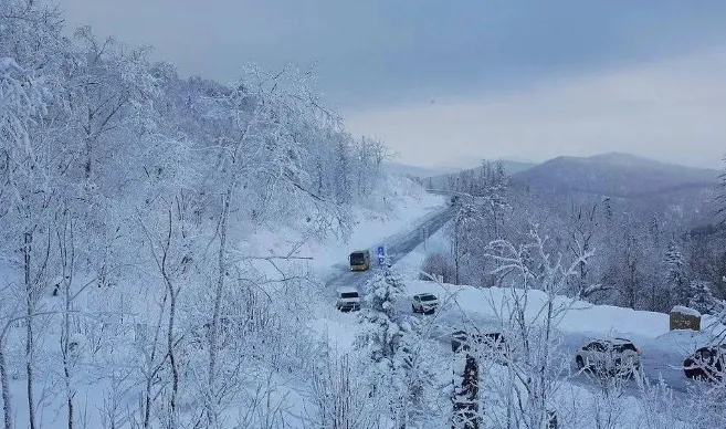 29a6ca93aafd60e330048a4e2dc36fdf-sz_524461-1 29a6ca93aafd60e330048a4e2dc36fdf-sz_524461-1