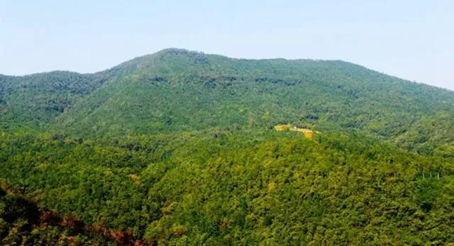 29b45336e8489a1346cc9a231156f97f-sz_337937