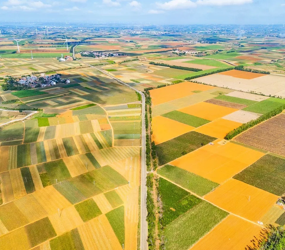 29c7e1ccdbd5dfaa88b6ab3949464d9e-sz_493667