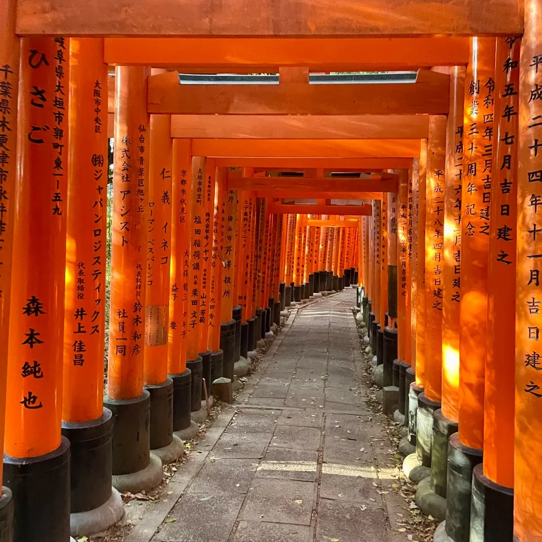 29ca70289c3359072d71605fbe4ebd9c-sz_488343 29ca70289c3359072d71605fbe4ebd9c-sz_488343