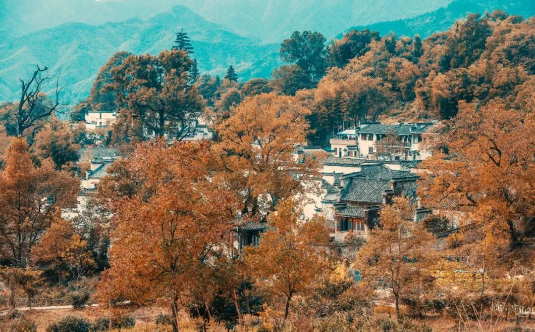 29f0a18c8188ad3c87d968108aa25f17-sz_228140