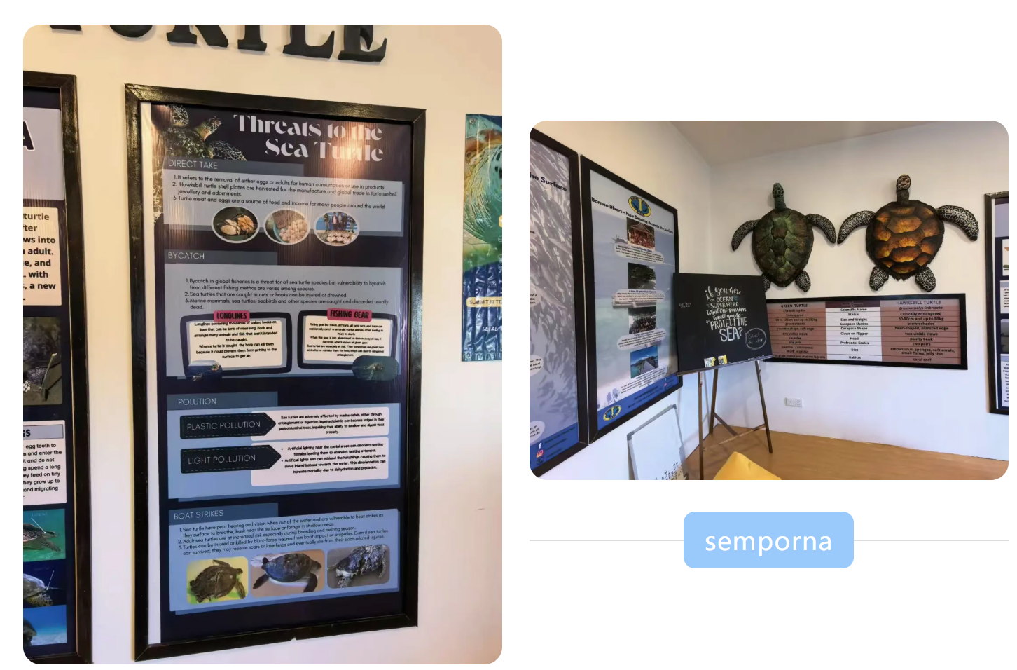 29f1f996d0a47466713f15cbd501d376 29f1f996d0a47466713f15cbd501d376