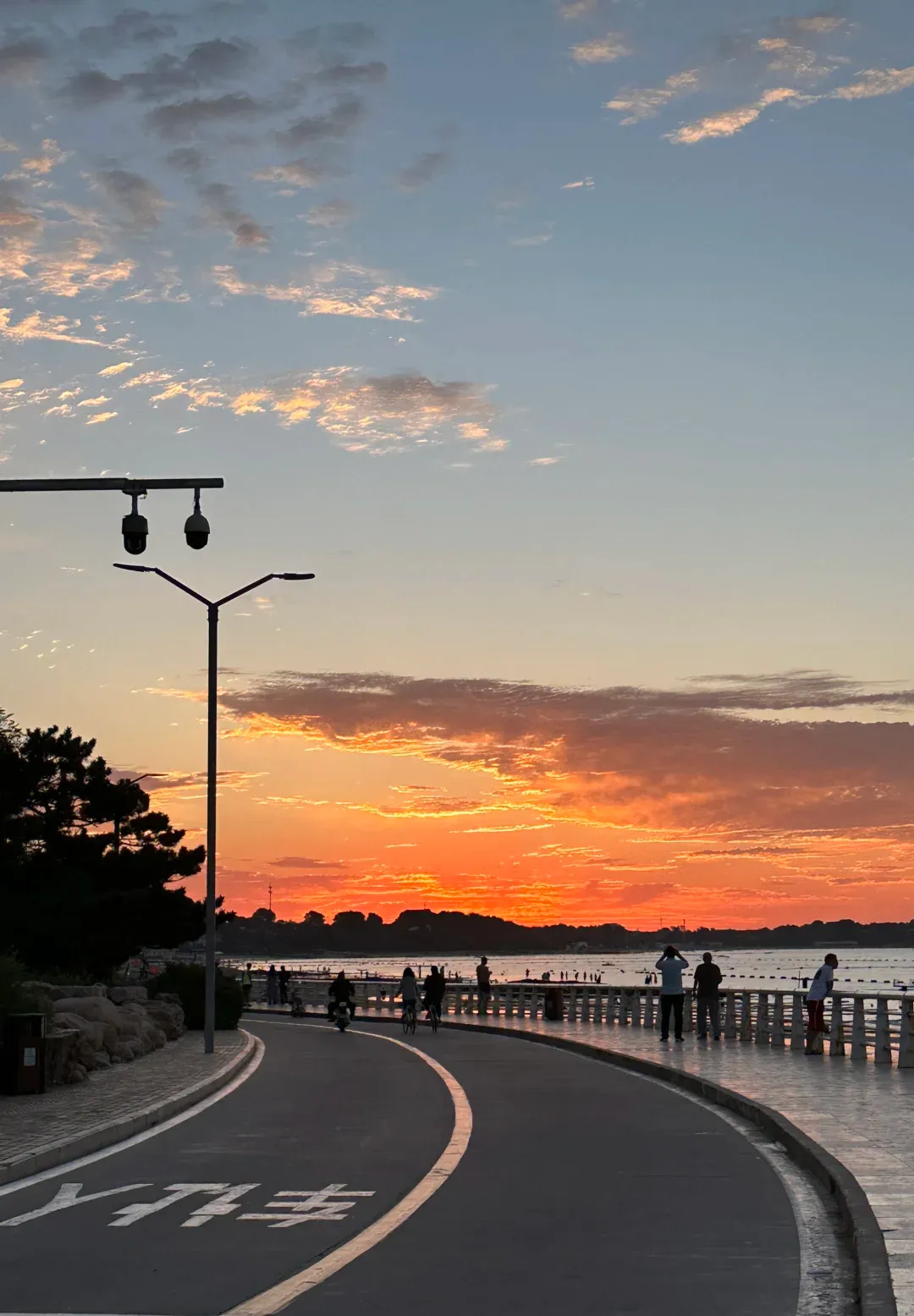 29f96d4a4dde001c16ad19dfce5742b2-sz_1473016