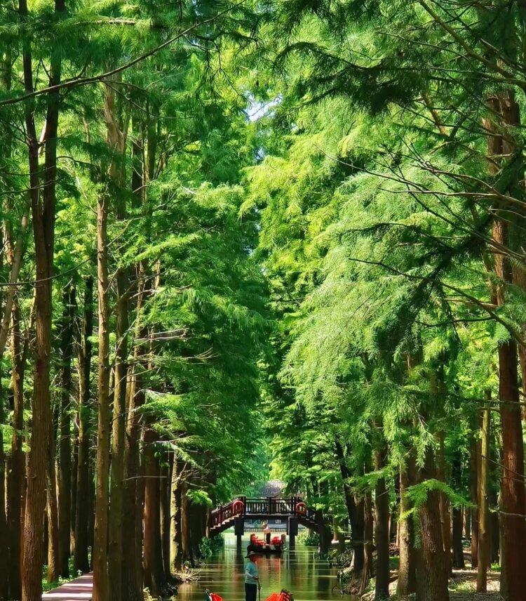 2Z9pD6QqTcX7ikfu3mhm2aB7Zxzhzih-