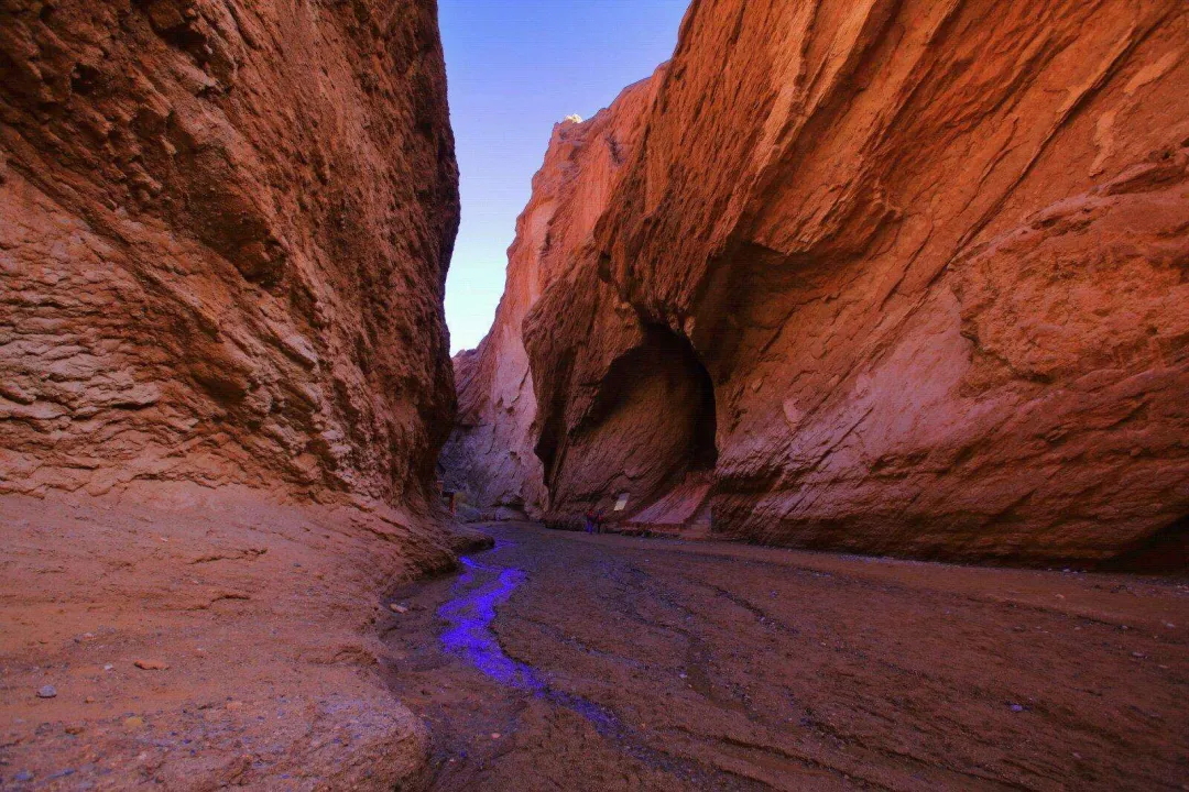 2a2a9f1589bb4d96815ad4e7a3ae74d6-sz_4908886