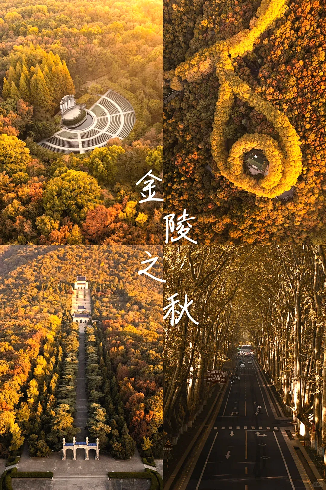 2a4c48c8584397273204107b939d2fa8-sz_3447027 2a4c48c8584397273204107b939d2fa8-sz_3447027