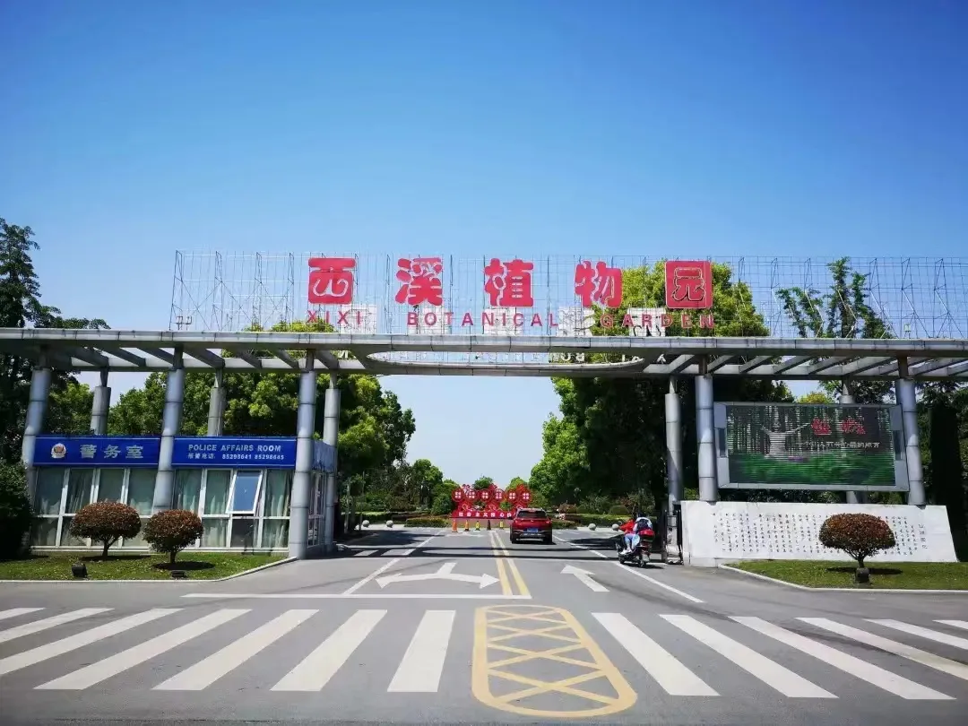 2acdc490de12936b002b1bcffdfe7fa8-sz_284831-3